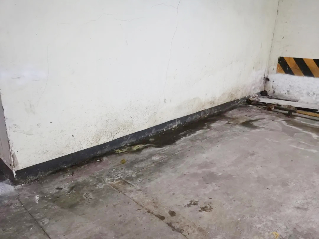 防水層泛白？別急著鏟！90%的人都不知道的真正原因在這里！