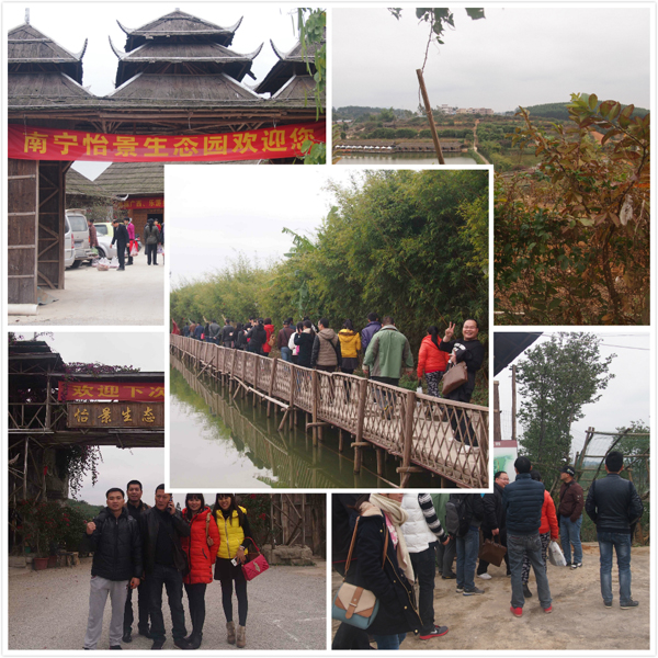 青龍年會 青龍員工徒步怡景生態(tài)園