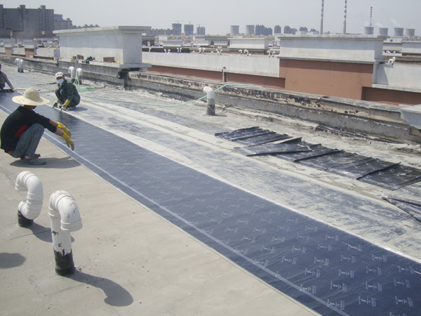 工人們正在預(yù)鋪卷材 防水卷材
